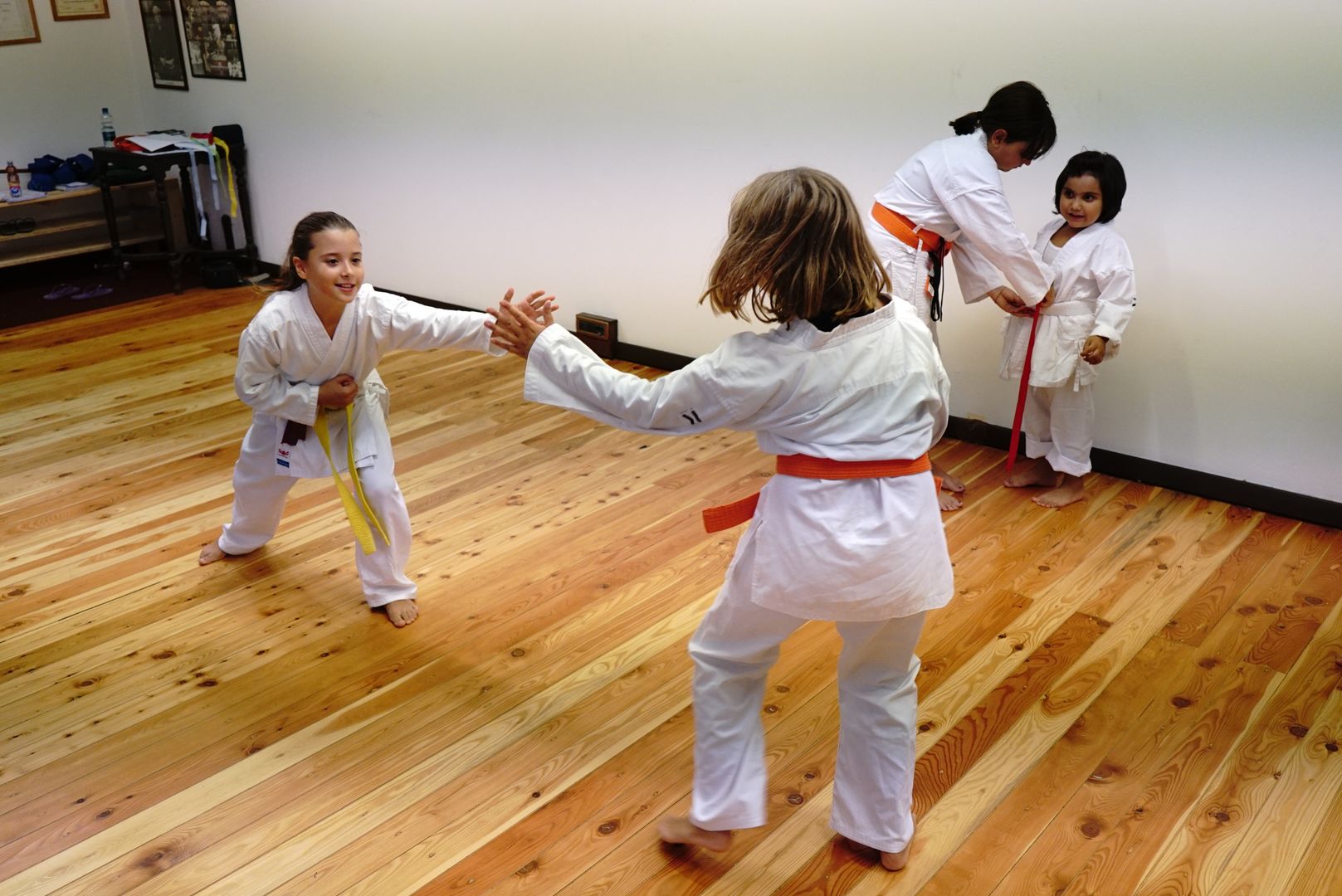 Genbukan Karate Torino