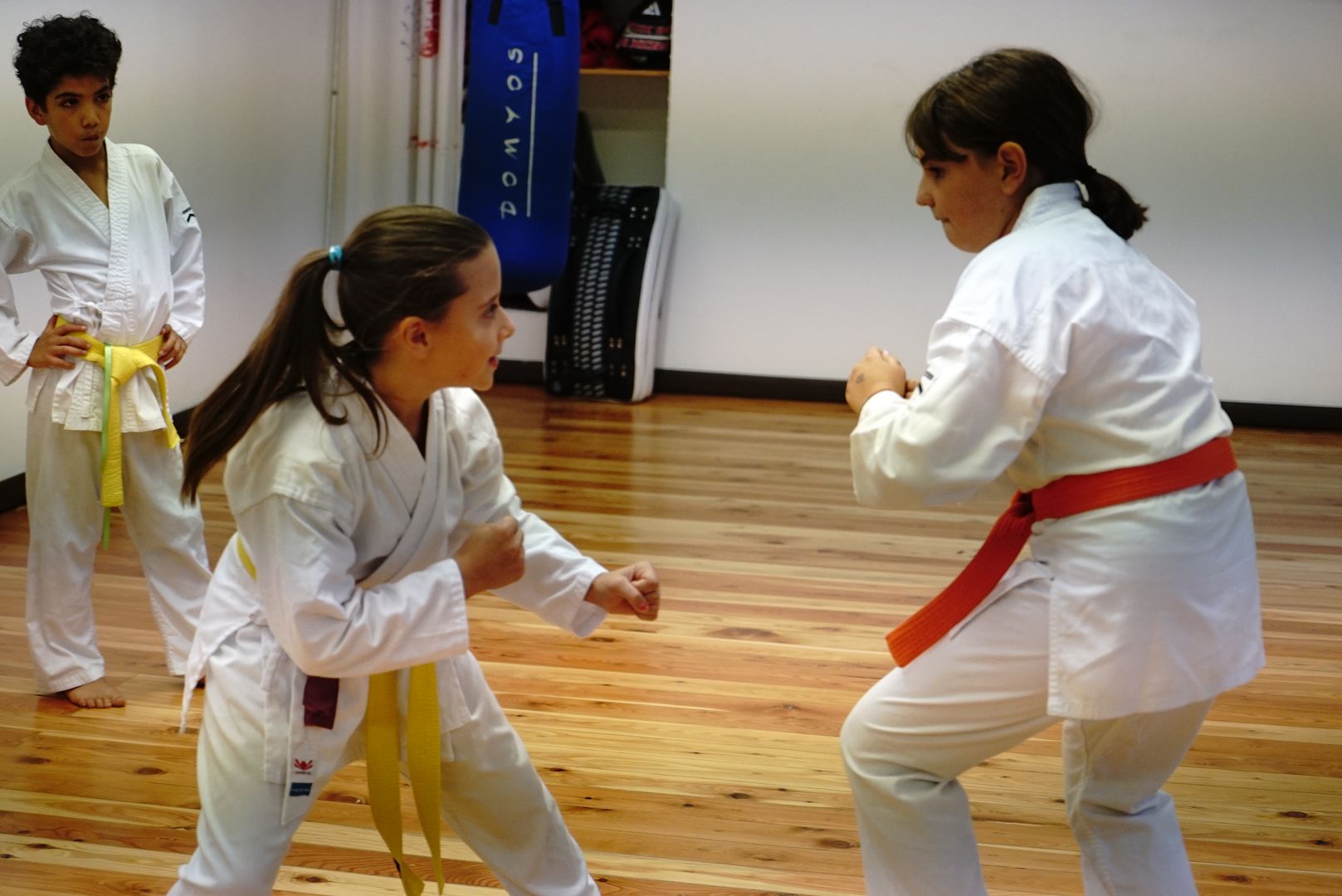 Genbukan Karate Torino