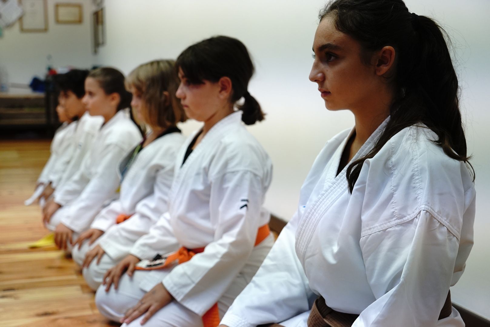 Genbukan Karate Torino